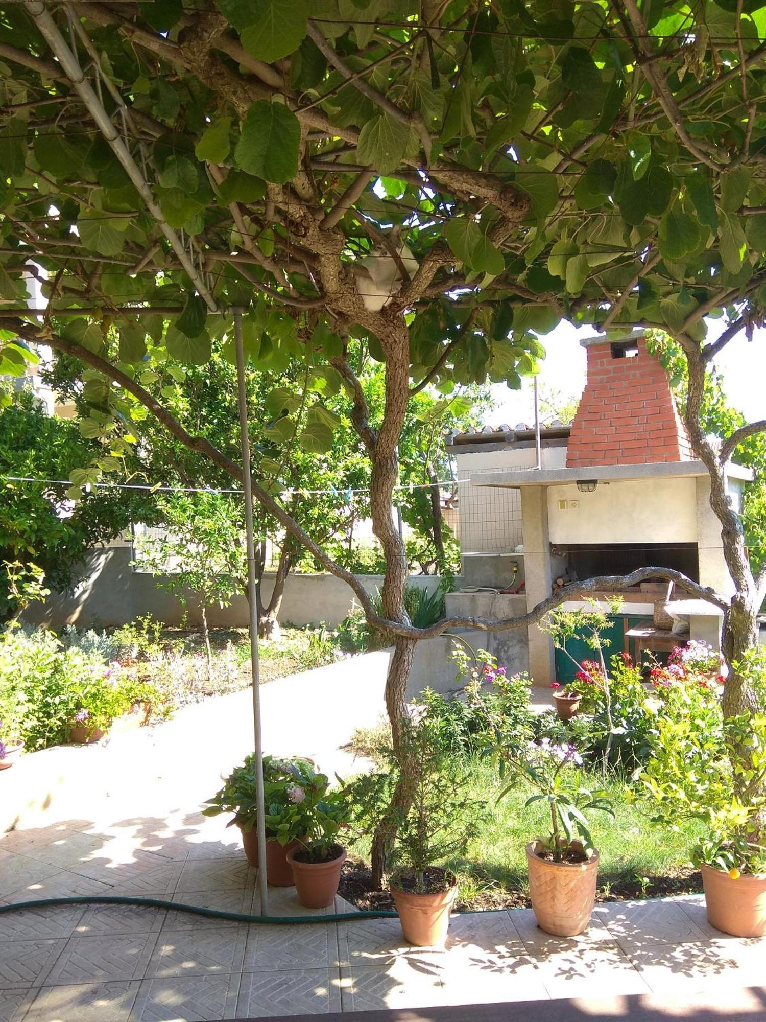 Villa Katarina Losinj Island Mali Lošinj Zewnętrze zdjęcie