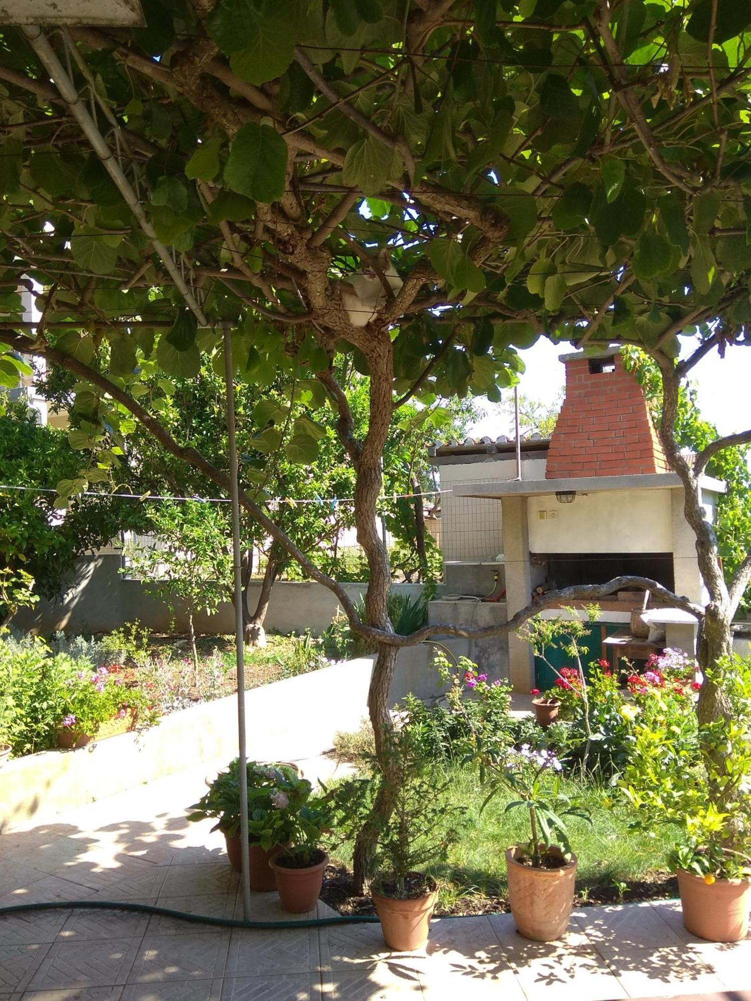 Villa Katarina Losinj Island Mali Lošinj Zewnętrze zdjęcie