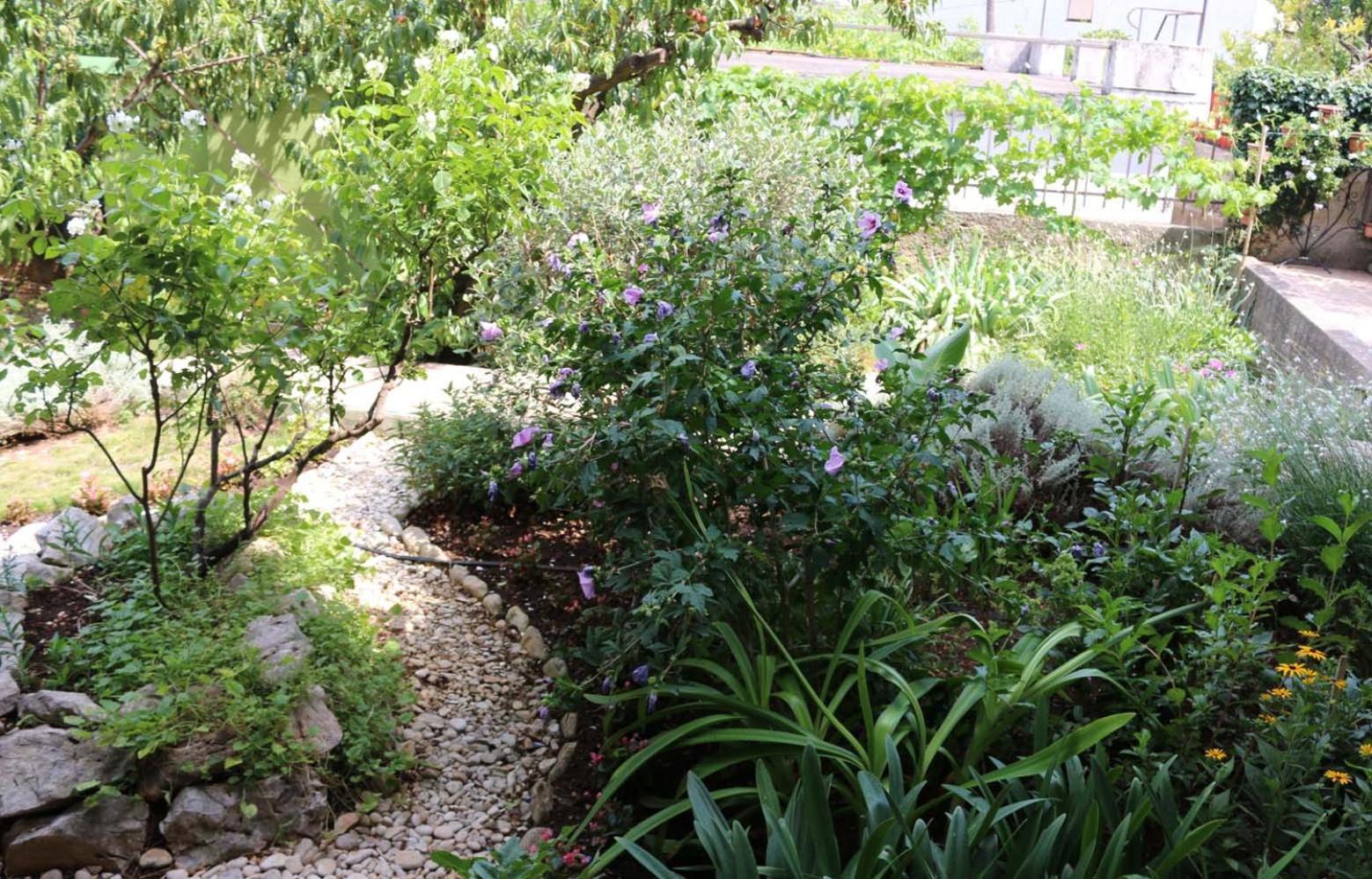 Villa Katarina Losinj Island Mali Lošinj Zewnętrze zdjęcie