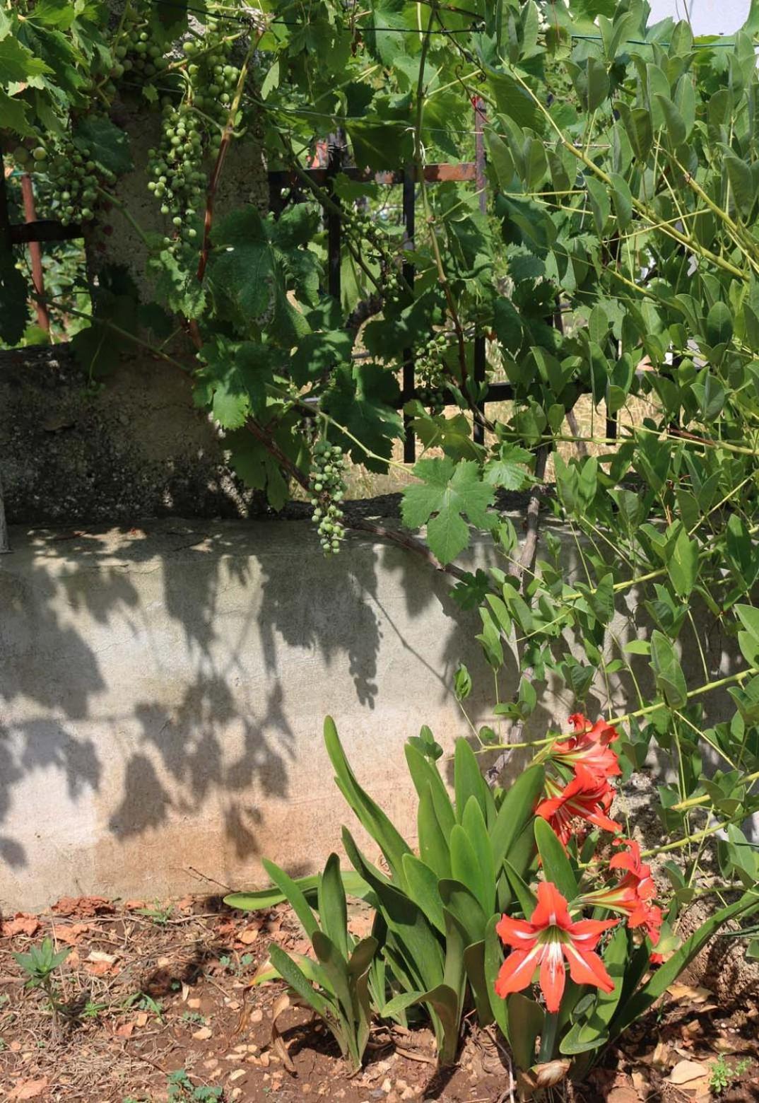 Villa Katarina Losinj Island Mali Lošinj Zewnętrze zdjęcie